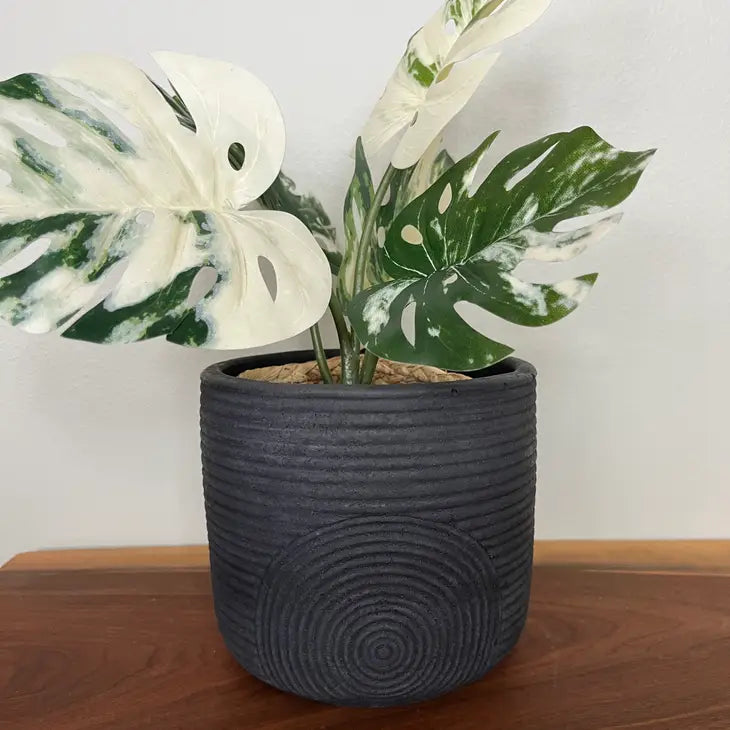 Boho Concrete Planter (Black, sage, stone)