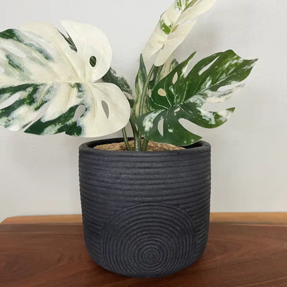 Boho Concrete Planter (Black, sage, stone)