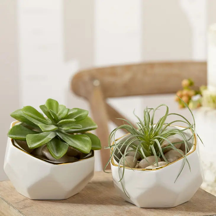 Geometric Ceramic Planter - Small & Medium (Set of 2)
