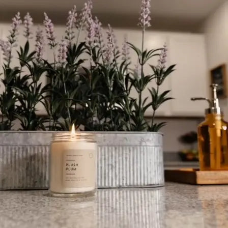 8 Oz Plush Plum Soy Candle